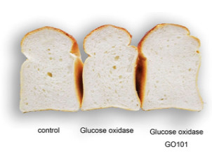 Glucose Oxidase In Food Industry CAS No 9025-56-3
